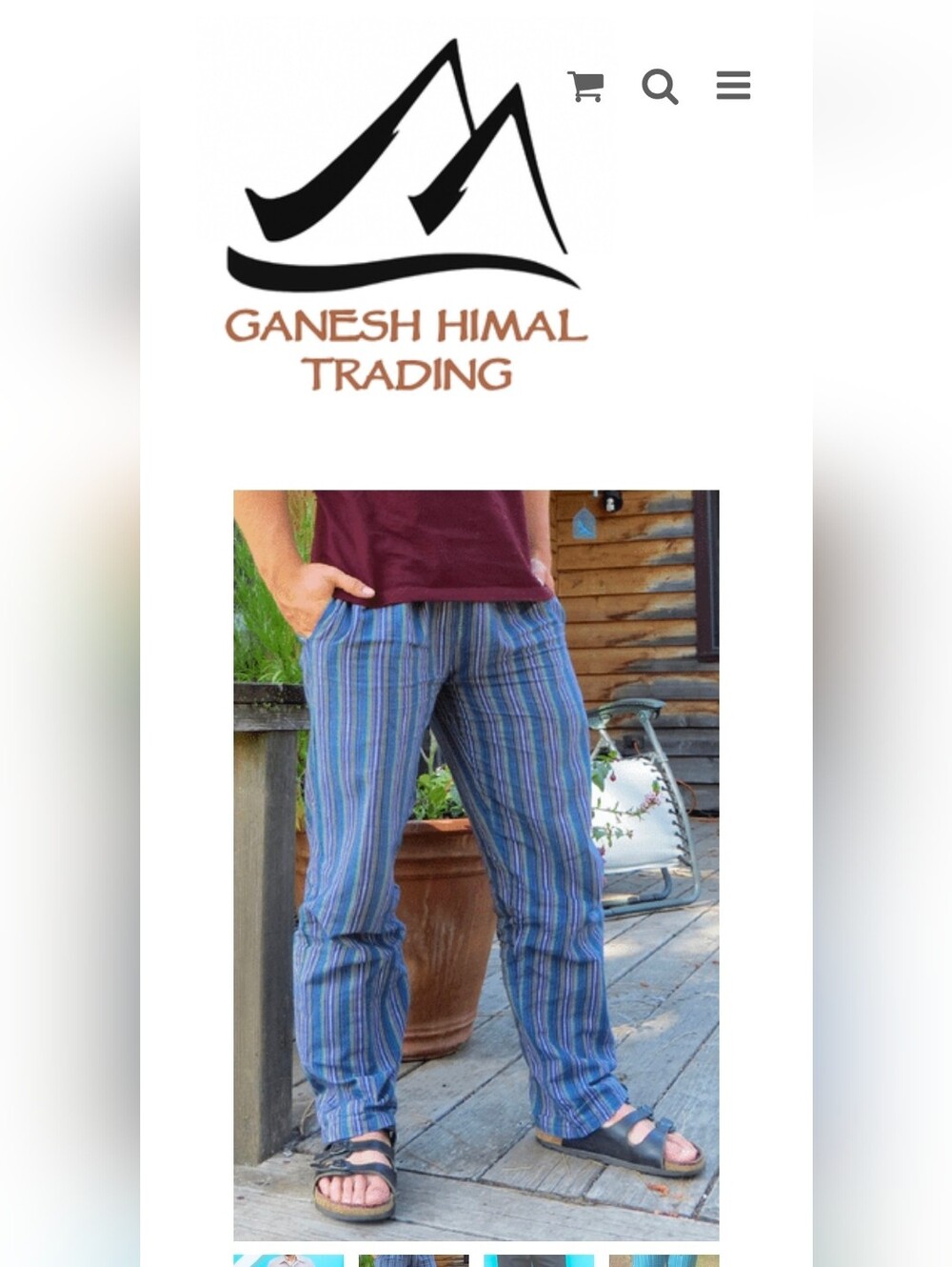 Ganesh Blue Multi-Stripe Casual Pant - Picture 5 of 5